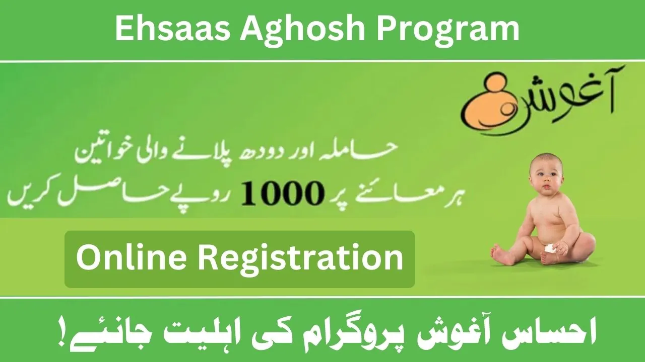 Ehsaas Aghosh Program CNIC Check & Online Registration 2024