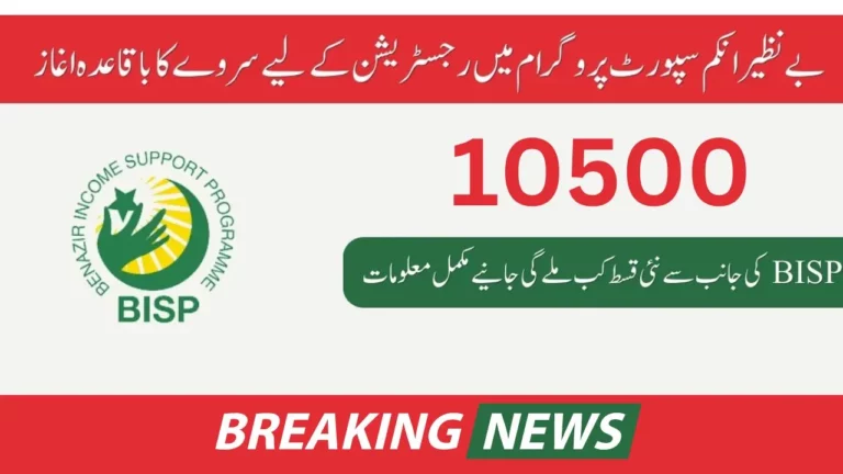 Benazir Income Support Program 10500 Survey Online way 2024