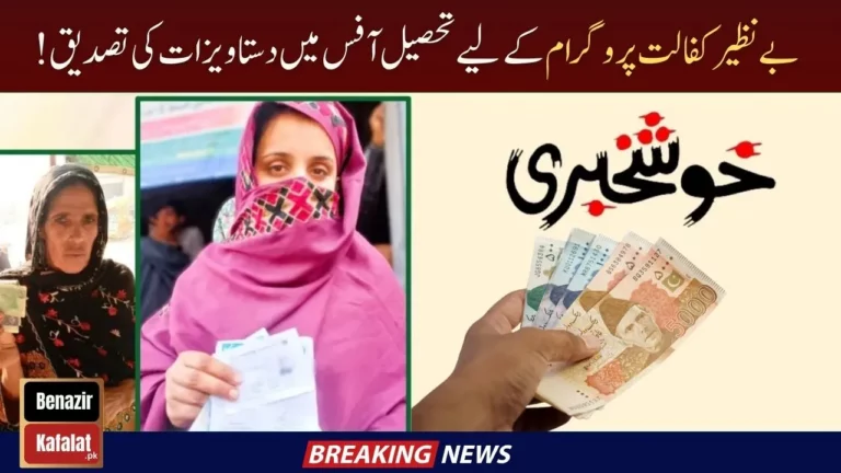 Benazir Kafalat Program Documents Verification at the Tehsil Office (April 2024)