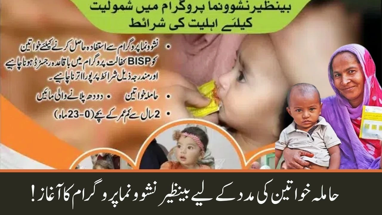 Benazir Nashonuma Program to help Pregnant Women 2024 (Complete Guide)