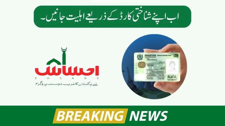 How do you check your CNIC online for the Ehsaas Program 2024?