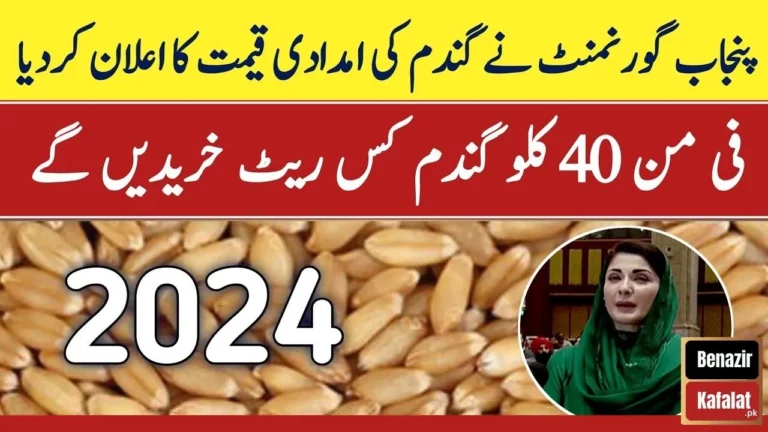 Breaking News Punjab Government Sets Support Price for WheatGandam - Latest Updates 2024