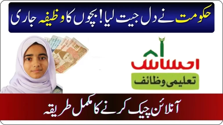 Complete Guide Benazir Taleemi Wazaif Program 2024 Latest Updates