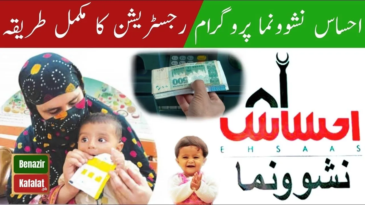 Ehsaas Nashonuma Program 2024 Check Status and Eligibility via 8171 Using CNIC