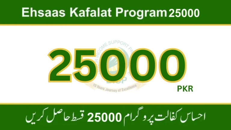 Good News! How to Check the Status of Your Ehsaas Kafalat Payment Latest Method 2024