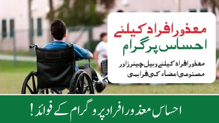 How to Get Benefits from the Ehsaas Disabled Person Program 2024