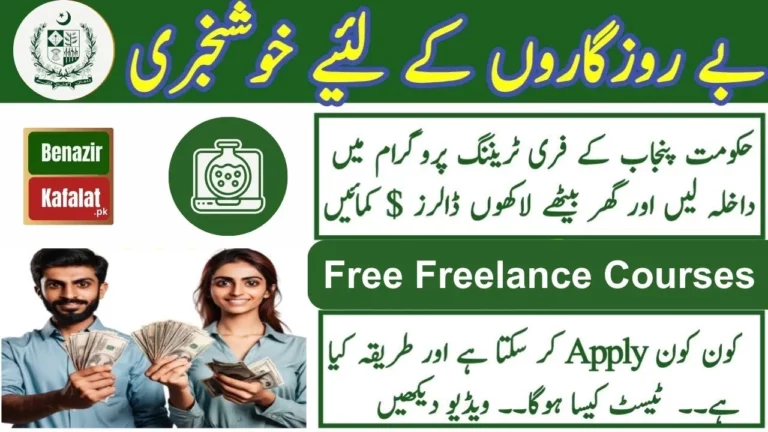 Students Earn Money! Free Freelance Courses Offered by the Government of Pakistan 2024