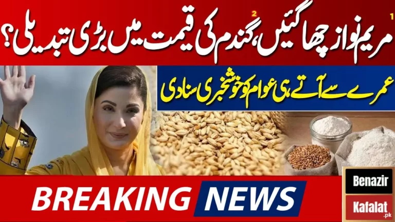 BREAKING NEWS! The Chief Minister of Punjab Introduces Support Price of Gandam for Small Farmers 2024