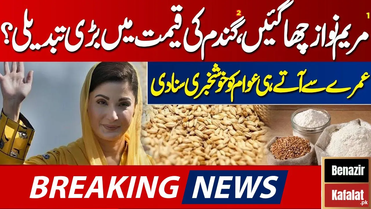 BREAKING NEWS! The Chief Minister of Punjab Introduces Support Price of Gandam for Small Farmers 2024