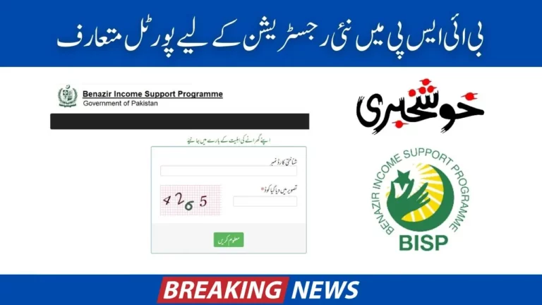 Everything You Need to Know About the BISP Web Portal in 2024