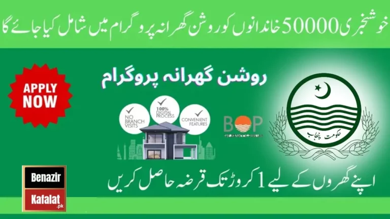 What things Will be included in the Roshan Punjab Program Latest Updates 2024